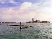VENICE21 (48)